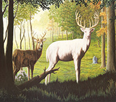 Albino Mist 